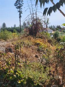 328 Simpson Ranch Road