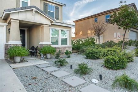 4013 Elderberry