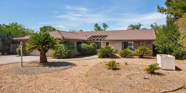 25641 Bellemore