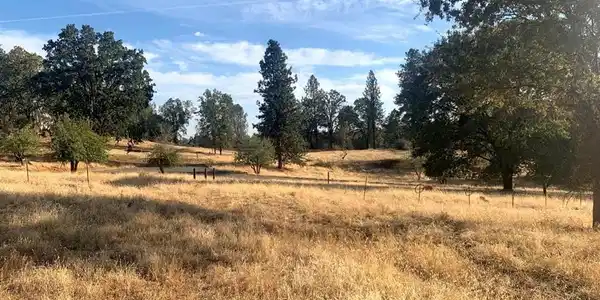 5644 Sierra Meadows Lane