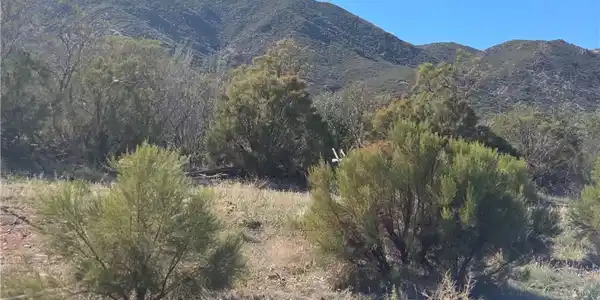 0 Taron Trail