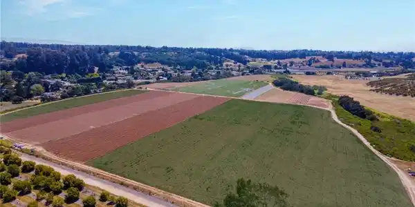 1680 Los Berros Road