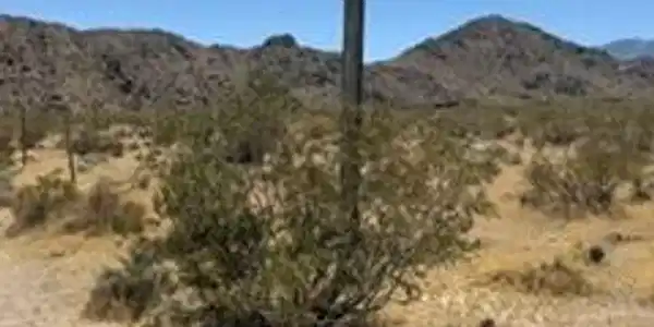 0 Mountain View