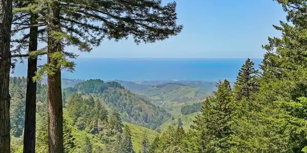 12960 Skyline Boulevard