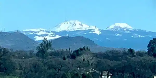 0 Monroe