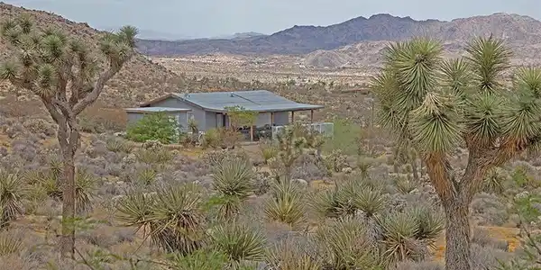 Image 2
