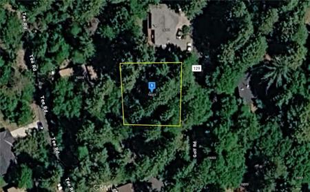 16313 Golf Road