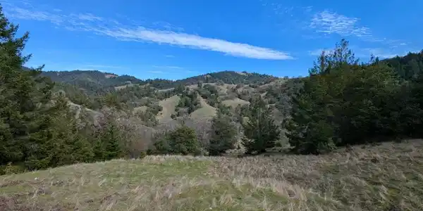 22346 Rickard Ranch Road
