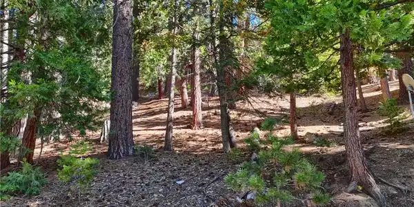 7232 Yosemite Park