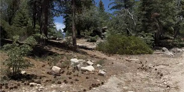 2526 Ridge Road