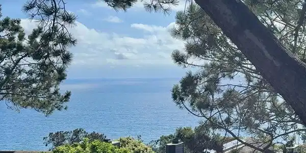 271 Ocean View Avenue