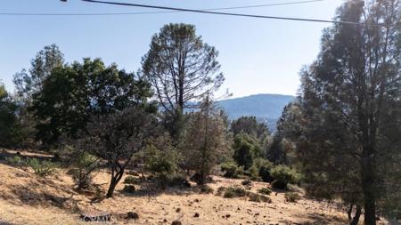 15781 Little Peak Road