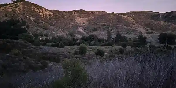 8221 Wheeler Canyon Road
