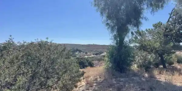 2033 Rancho Manzanita Drive