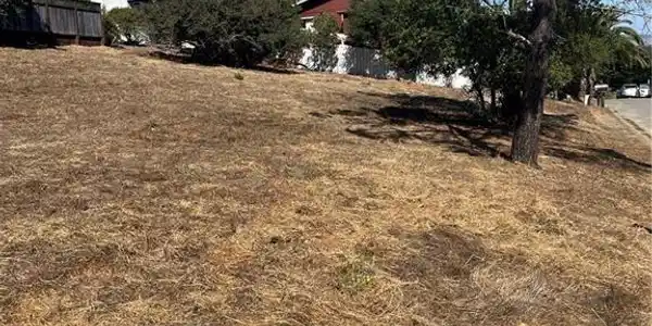 2333 Mccabe Drive