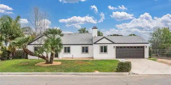 4856 Poinsetta