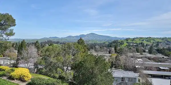 2589 Pine Knoll Dr
