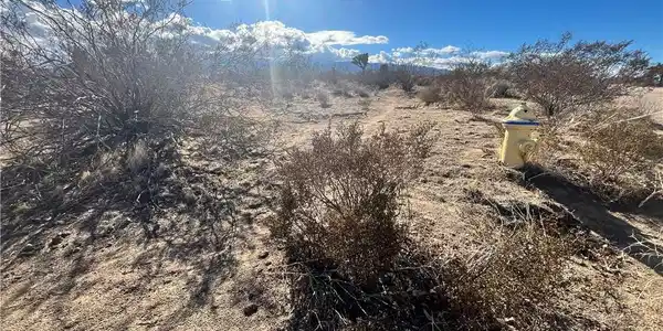 1 Greasewood Ln
