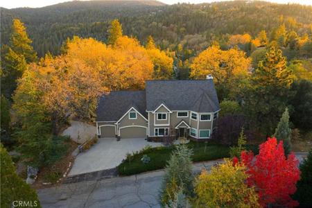 1010 Black Oaks