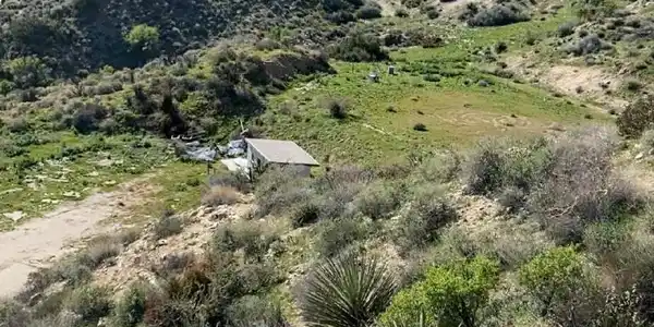 0 Pine Avenue