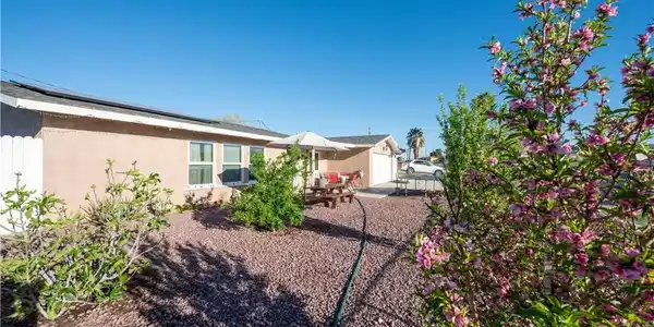 34220 Birch