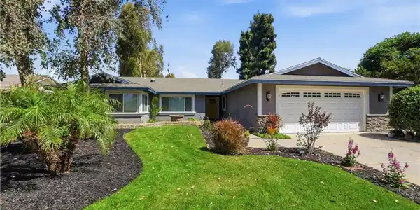 3633 Vine Avenue