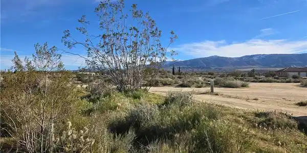 0 Mountain Road