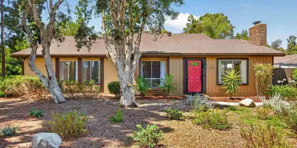 2207 Arborvitae