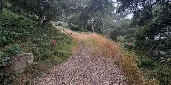 0 Pesante Road
