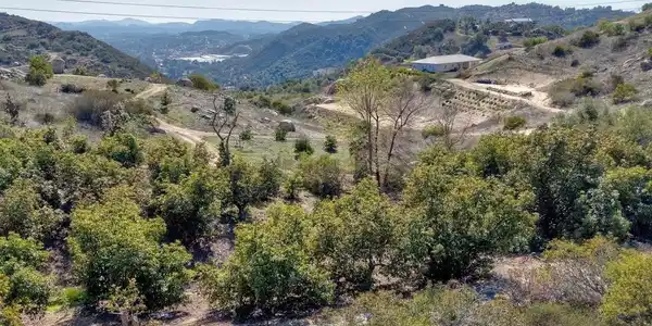 5 acres Sanford
