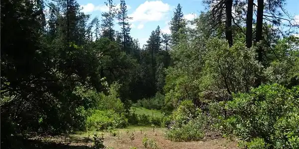 0 Powell Ridge