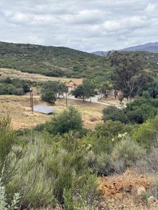 27543 Golden Eagle Road
