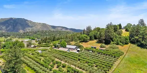 2645 Apple Lane