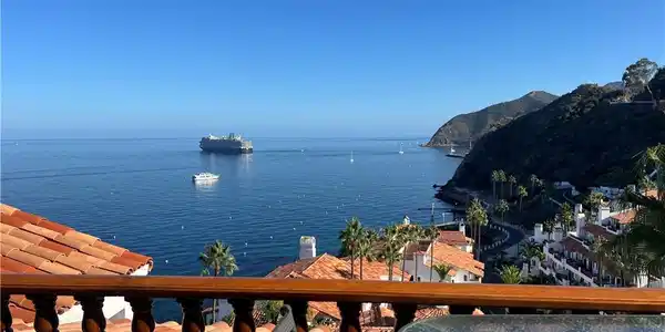 63 Gaviota