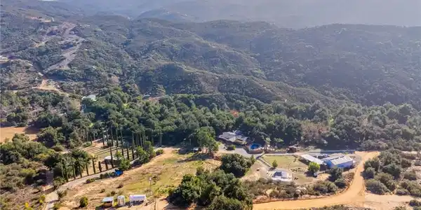 33283 Ortega