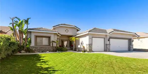 4060 N Flame Tree