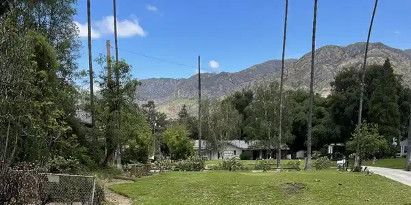 1660 Homewood Drive