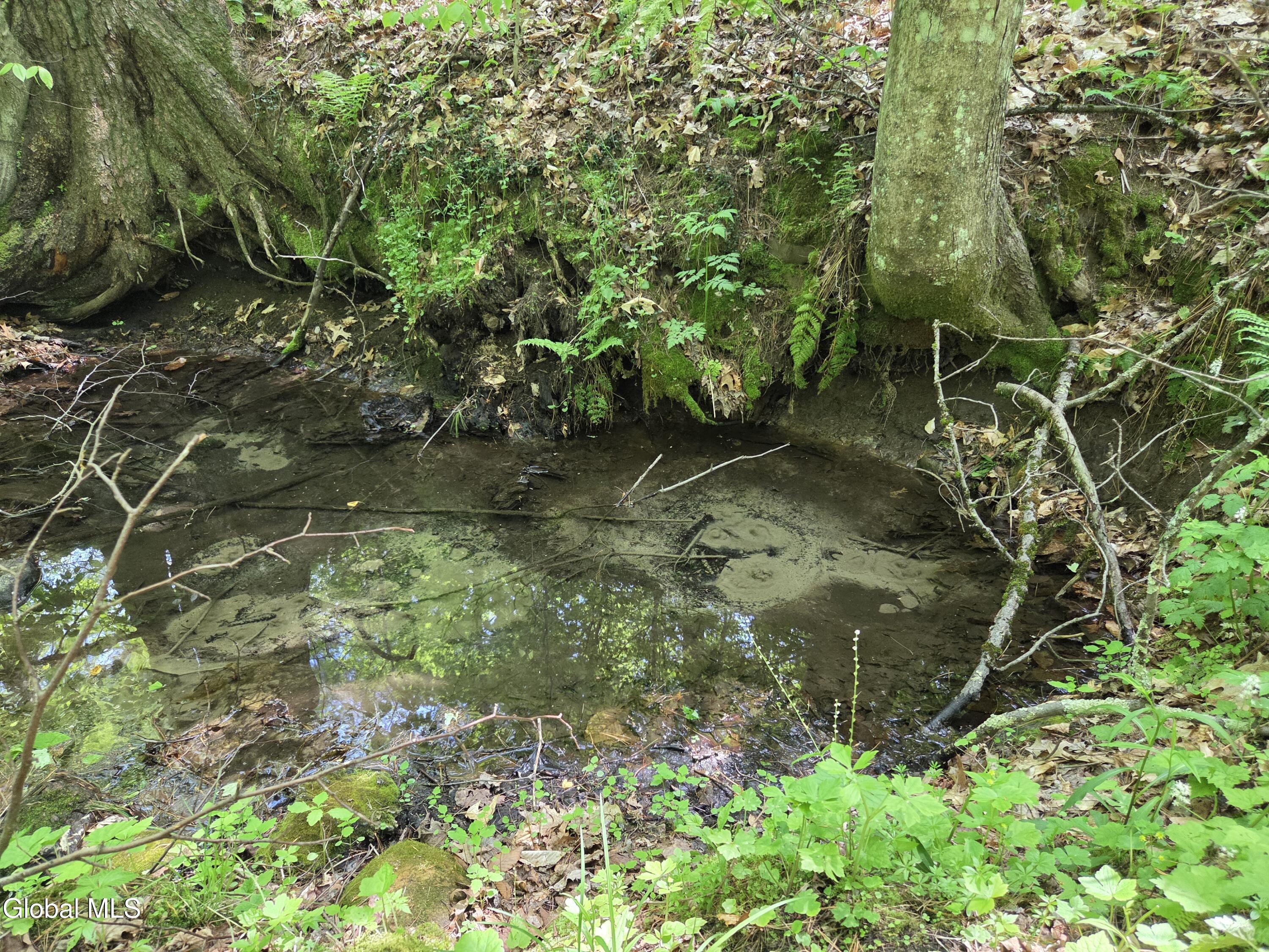 Image 4: Natural Spring