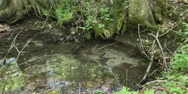 Image 4: Natural Spring