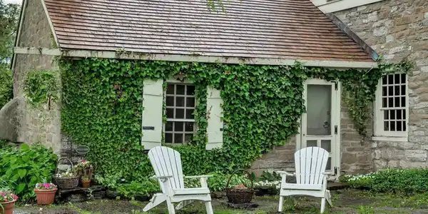 Image 4: English Cottage