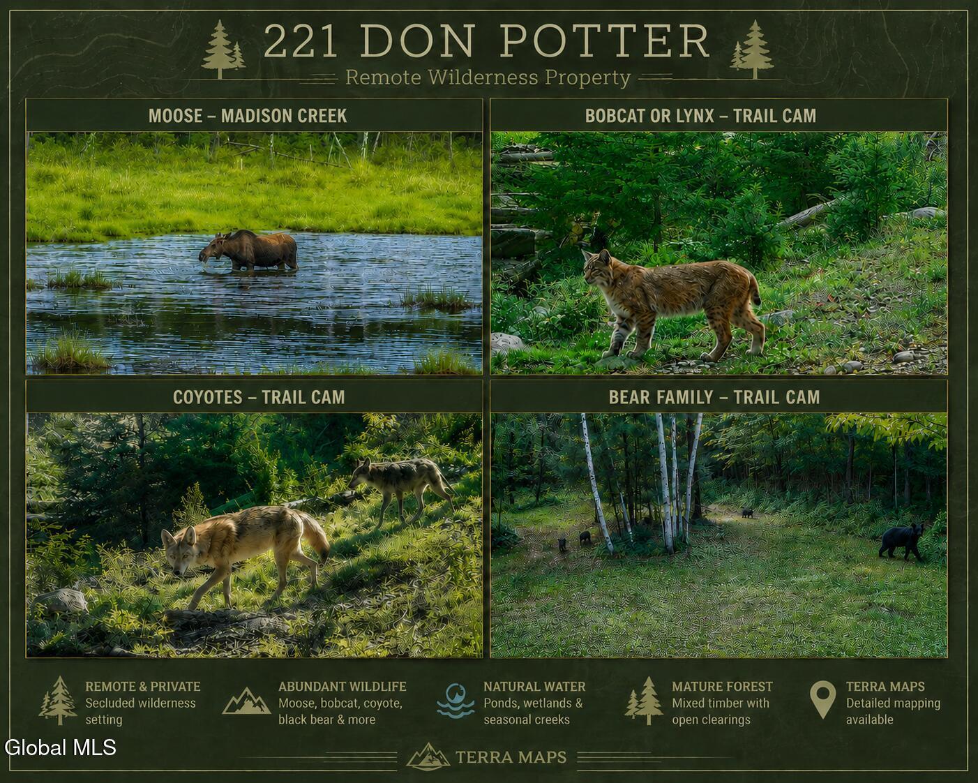 Image 2: Animal Terra Map 221 Don Potter