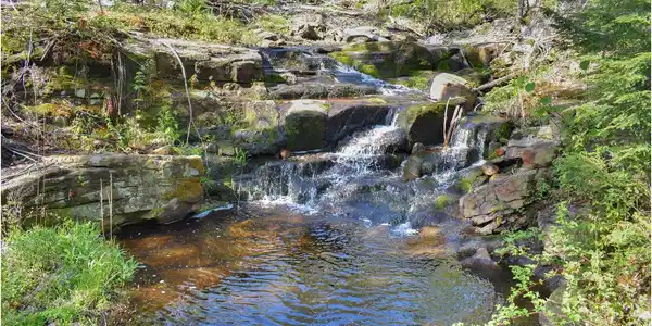 Image 4: dp3