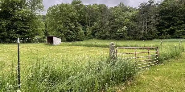 Image 4: 5348c430-1df7-4bfa-9d2e-4111f176e76e