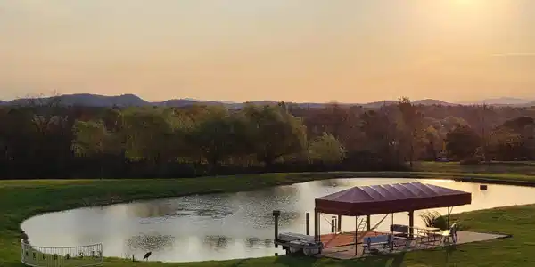Image 3: Pond