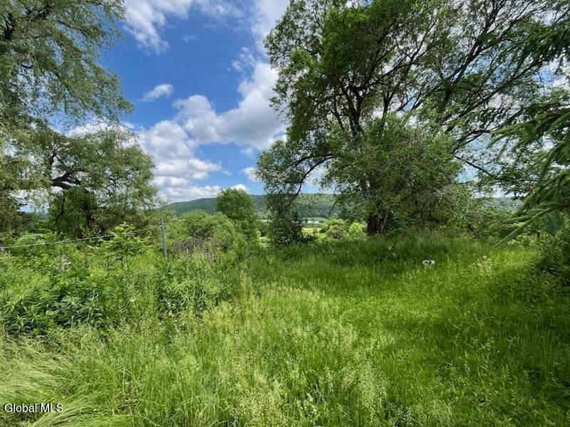 Image 2: image000000