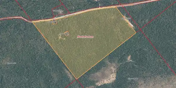 Image 2: 1828 Blue ridge Rd