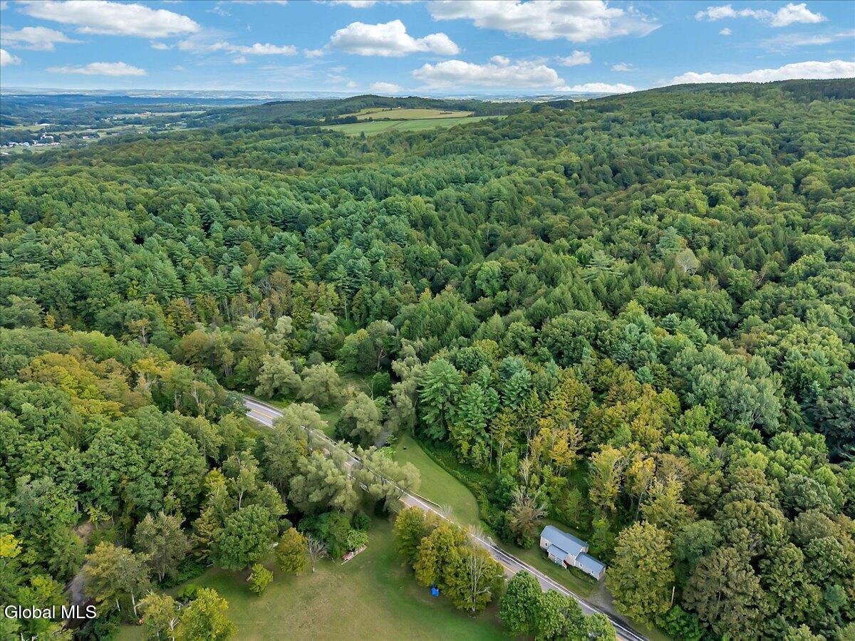 Image 3: 35-DJI_20250825121753_0006_D