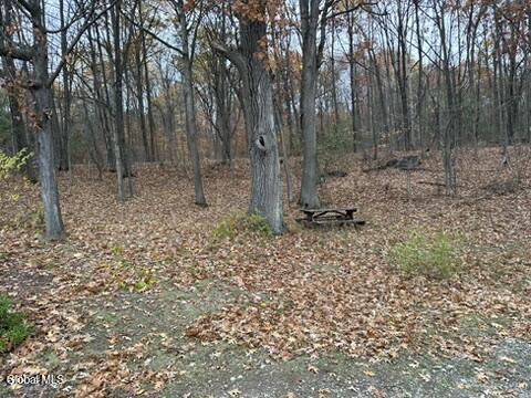 Image 3: 7EE1787C-EE94-4255-B1D8-E4F2072EA090_4_5