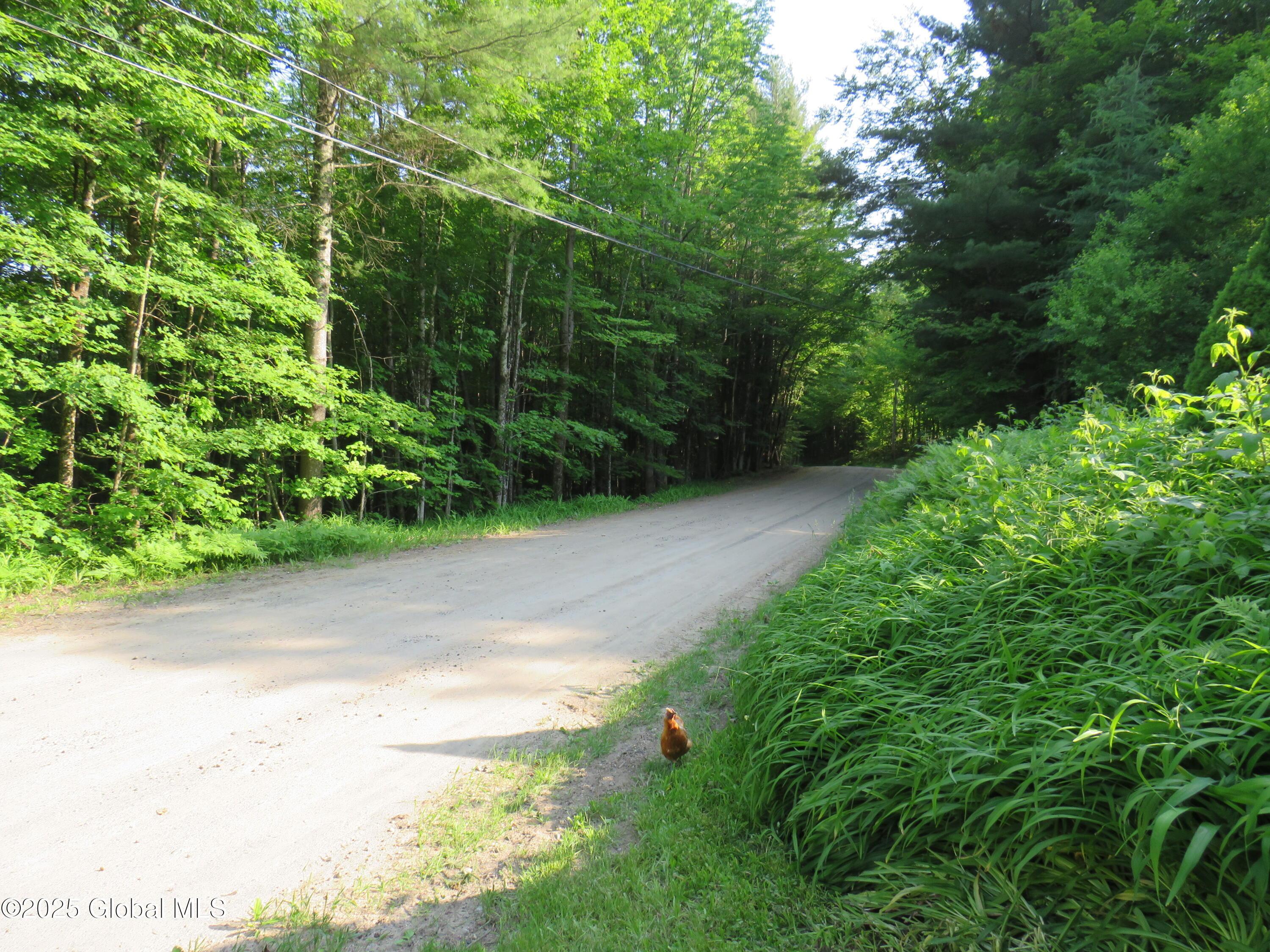 Image 3: IMG_8159