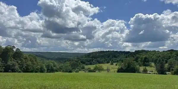 Image 2: Site View 5